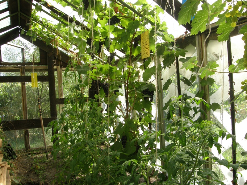 P8080043