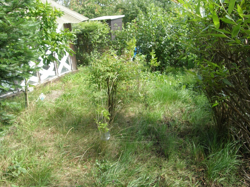 P8080046