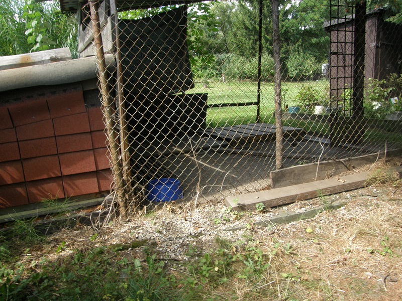 P8080047