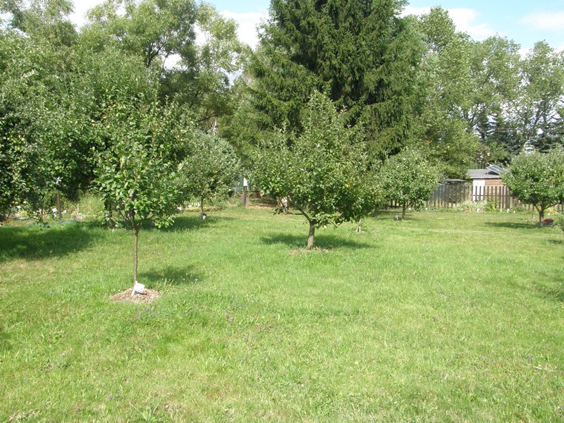 P8080058