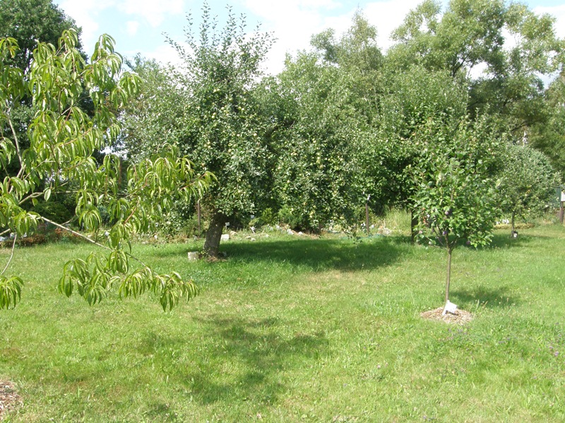 P8080059