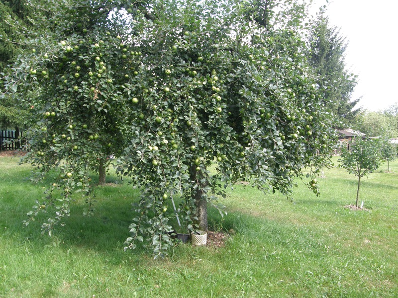 P8080063