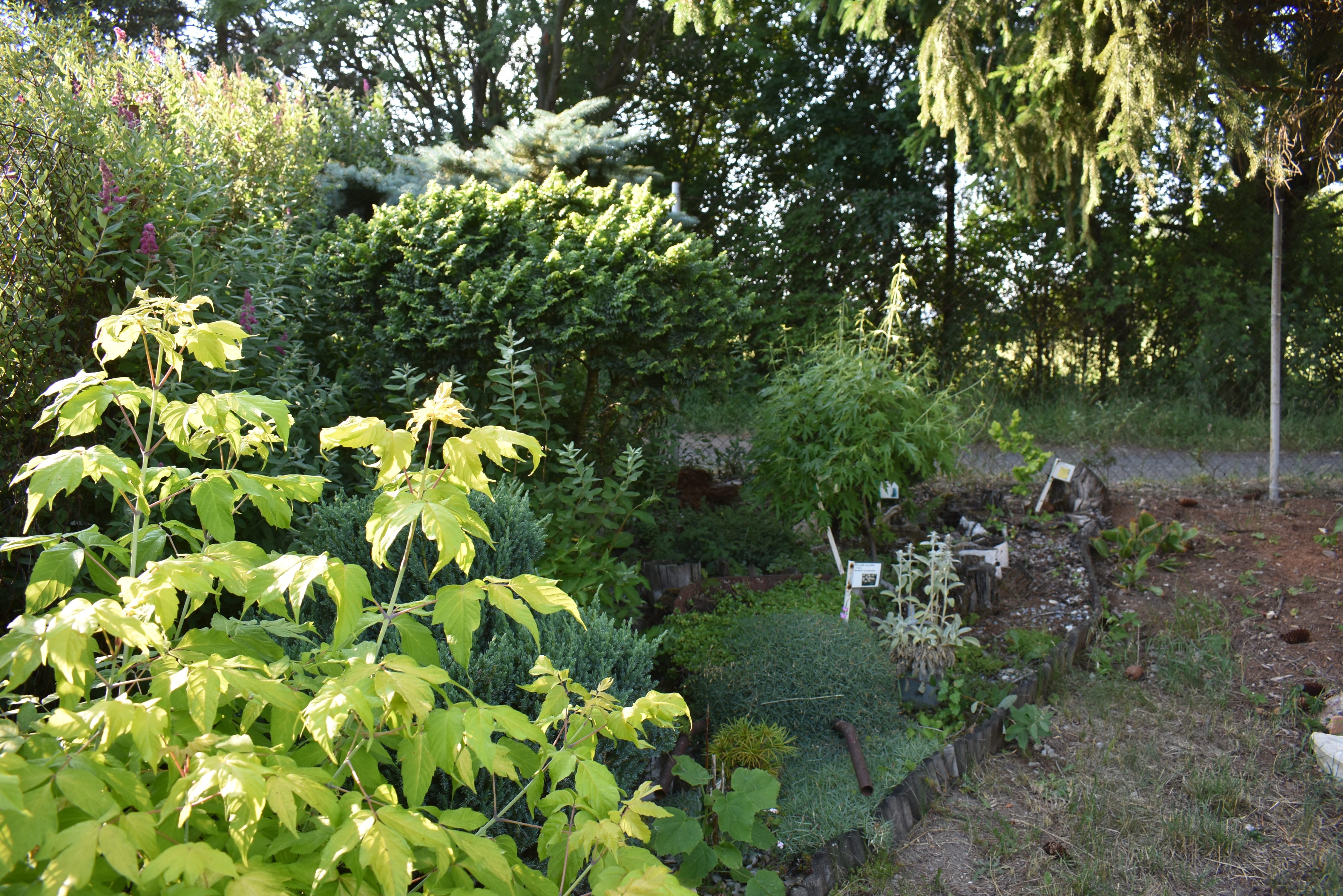 DSC_0065
